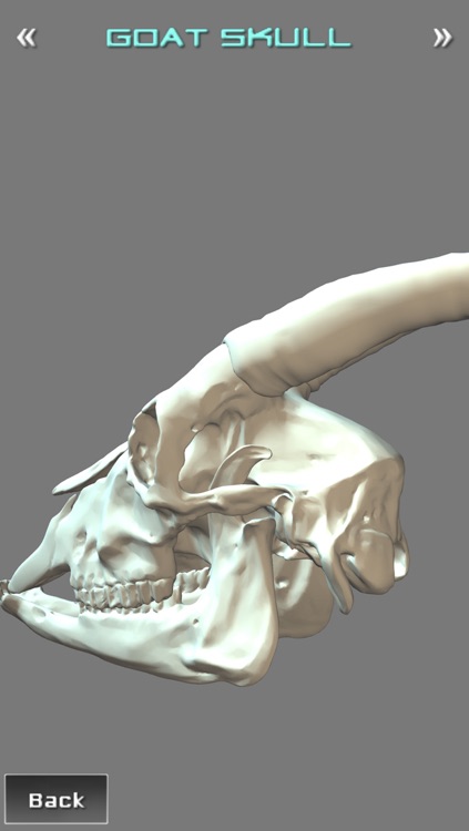 3D Portfolio