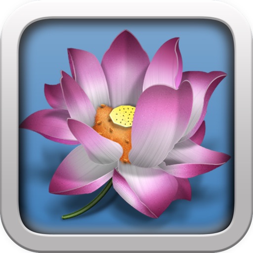 Đọc sách đa ngôn ngữ (Vietnamese Reader) icon