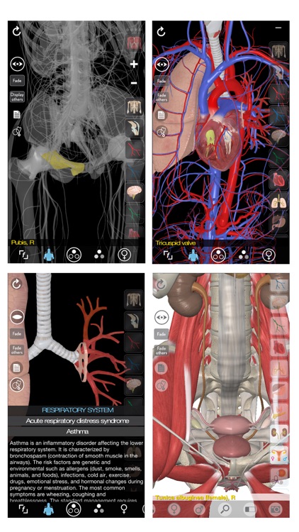 3D Organon Anatomy screenshot-1
