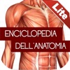 Enciclopedia dell'ANATOMIA - FREE