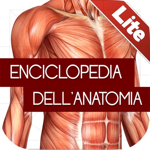 Enciclopedia dell'ANATOMIA - FREE