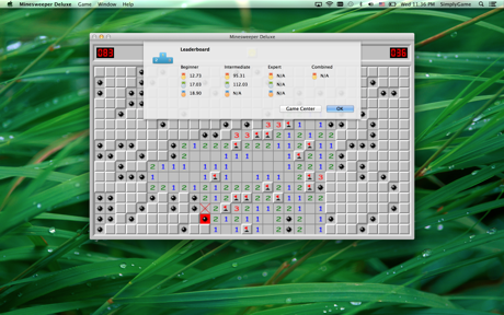 Cheats for Minesweeper Deluxe