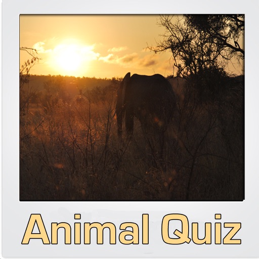 Animal Quiz US / UK Icon