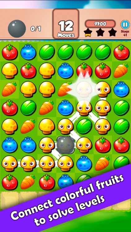 Fruit Splash - Fruit Family