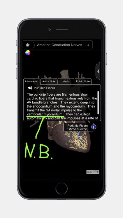 Heart Pro III - iPhone Edition