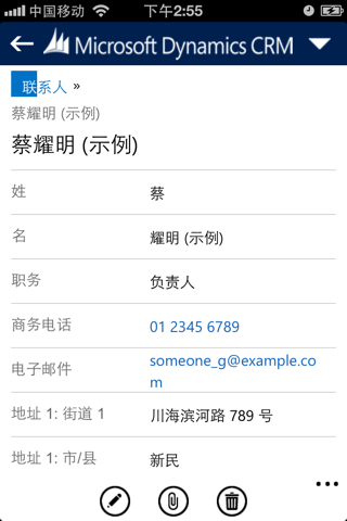 Dynamics CRM for phones express screenshot 4