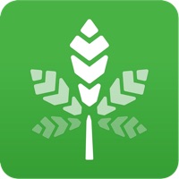 Rate My Weed - The First Ever Marijuana Recognition Software apk