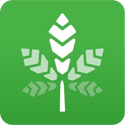 Rate My Weed - The First Ever Marijuana Recognition Software