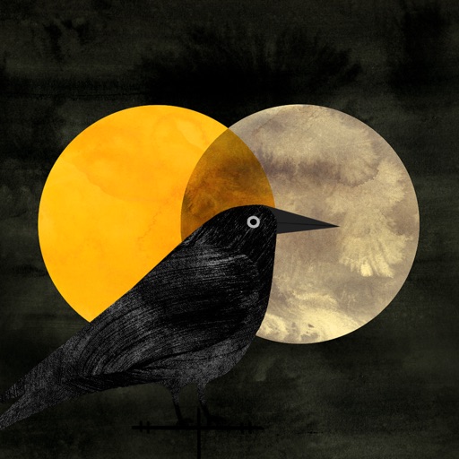 Night & Day - an illustrated puzzle experience iOS App