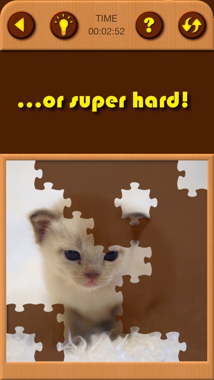 Cat Kitten Kitty Pet Baby Animal JIgsaw Puzzle Games for Girls who love educational memory learning puzzles for kids and toddlers screenshot-3