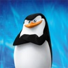 Penguins Surveillance App