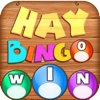 Hay Bingo Free - Farm Casino Edition