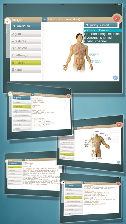 Total Acupuncture 3D screenshot-3