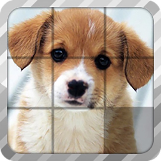 Pet Sliding Puzzle Icon