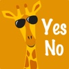 Yes/No Questions