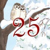 Advent Calendar - Winterland