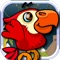 Amazing Rio Bird Adventure