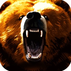 Activities of Mighty Bear Slot Machines - A Classic Slot Game Tangiers Bets Bonus Games and Spins