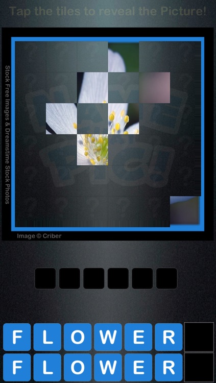 Name that Pic!