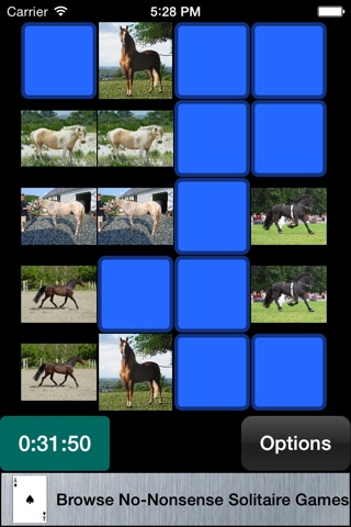Matching Game - ASL, Horses, Airplanes & More screenshot 2