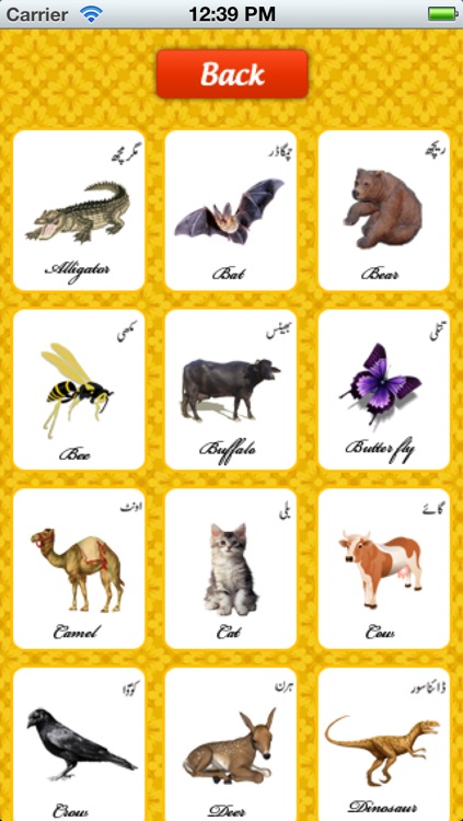 Learn Urdu Animals and Rhymes Kids Free by Digital Dividend AB