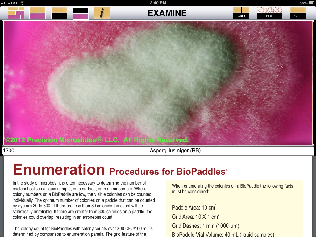 BioPaddlesLite screenshot 4