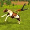 Horse Simulator Pro