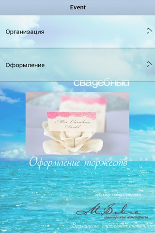 Свадебный Дневник Невесты screenshot 4