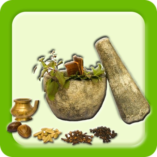 AyurvedaBook icon