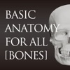 basic anatomy for all [bones]