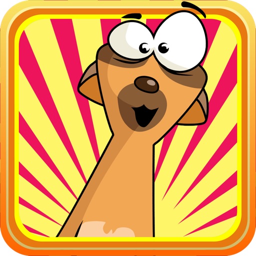 Dumb MeerKat's Candy Rush : Run & Jump High or Die Icon