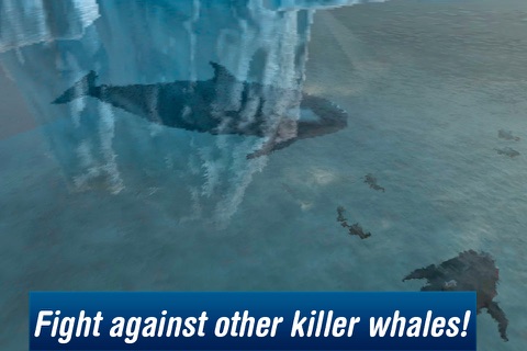 Killer Whale: Orca Simulator 3D Free screenshot 3