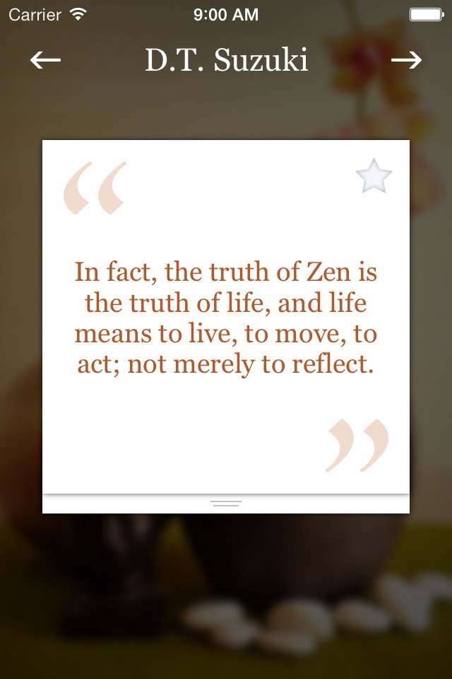 Pocket Zen screenshot 3