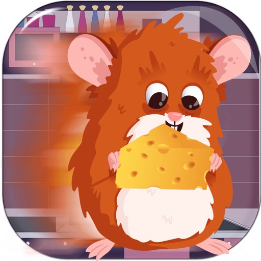 Hamster Run Cheese Adventure – Free version icon