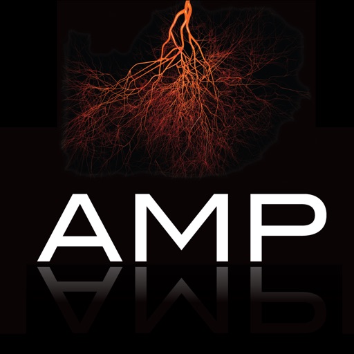 AMP 2013 icon
