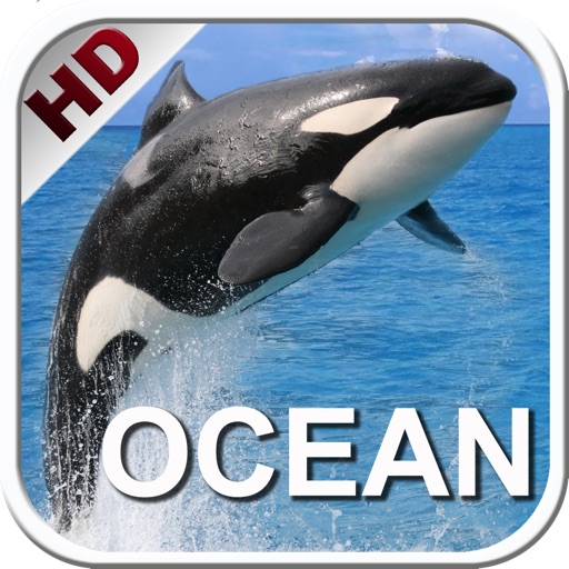 Kids Ocean Encyclopedia. Book and video for children. Sea life. icon