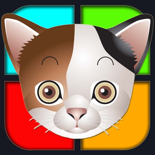 Cats: Guess & Win! iOS App