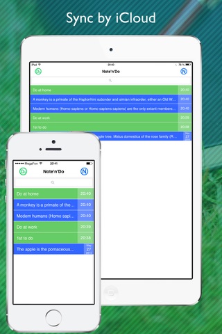 Note & Do - creating and editing two notes with to-do lists at the same time on one screen screenshot 4