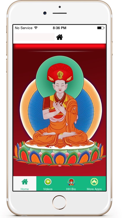 The Drikung Kagyu Today