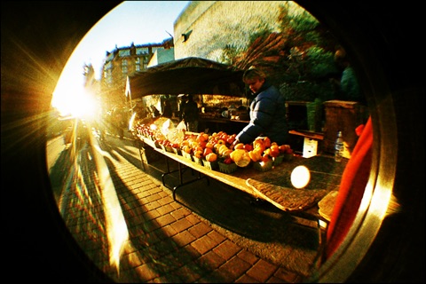 Fisheye Lens - camera fisheye with lomo old film & colors screenshot 4