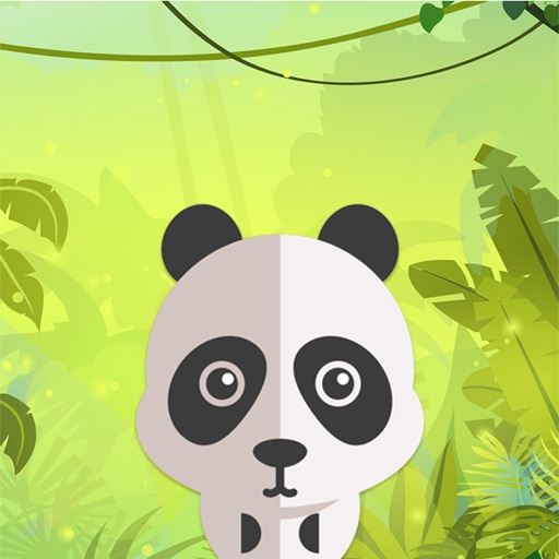 Zoo Cubes - Baku Animal ! iOS App