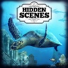 Hidden Scenes - Oceanus Free
