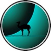 Alpaca