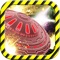 Space Command Battleship - Can you escape the monster asteroid blitz ?