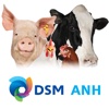 DSM ANH Product Support
