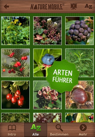 Wild Berries & Herbs - NATURE MOBILE screenshot 2