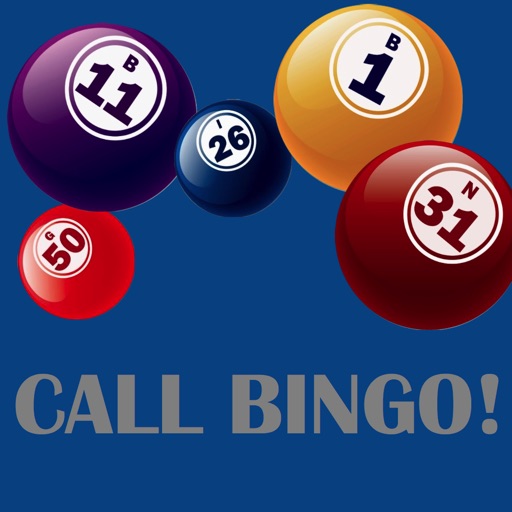 BingoBoard Icon