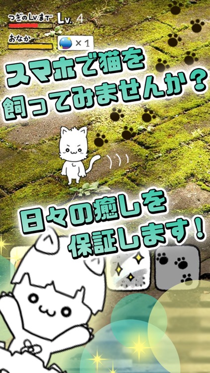 にゃんこ日和 ほのぼの子猫育成ゲーム By Actkey Co Ltd