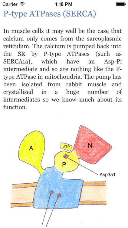 Biochemistry Reference