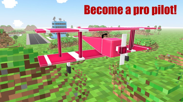 Blocky Plane Flight Simulator 3D